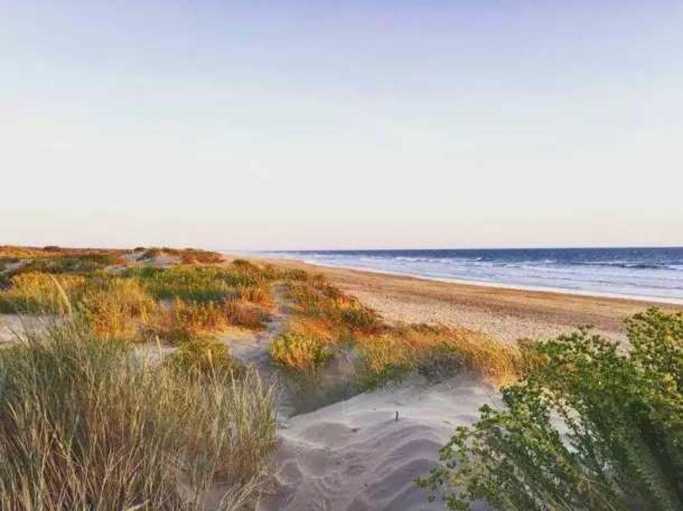 5 Etoiles - Piscine - Eeaibb Saint-Georges-d'Oleron